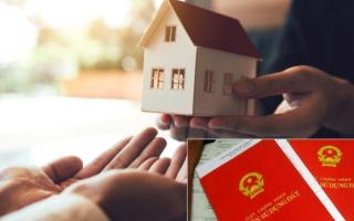 Sang tên sổ đỏ sớm cho con, cha mẹ về già có nguy cơ bị ra đường sống