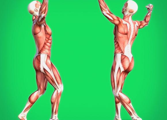 5 bài tập giúp bạn sống lâu hơn