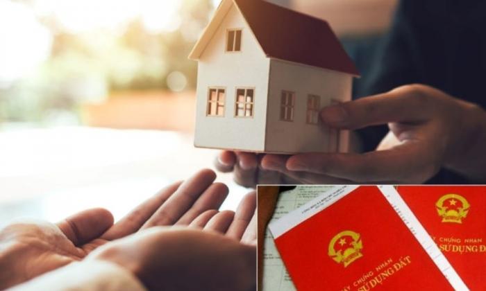 Sang tên sổ đỏ sớm cho con, cha mẹ về già có nguy cơ bị ra đường sống